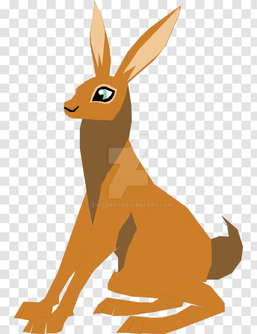 Kangaroo Macropodidae Hare Red Fox Deer - Tail Transparent PNG