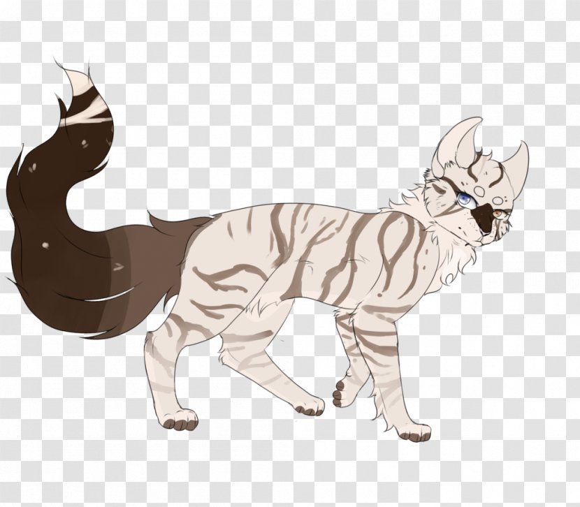 Whiskers Kitten Tiger Wildcat - Carnivoran Transparent PNG
