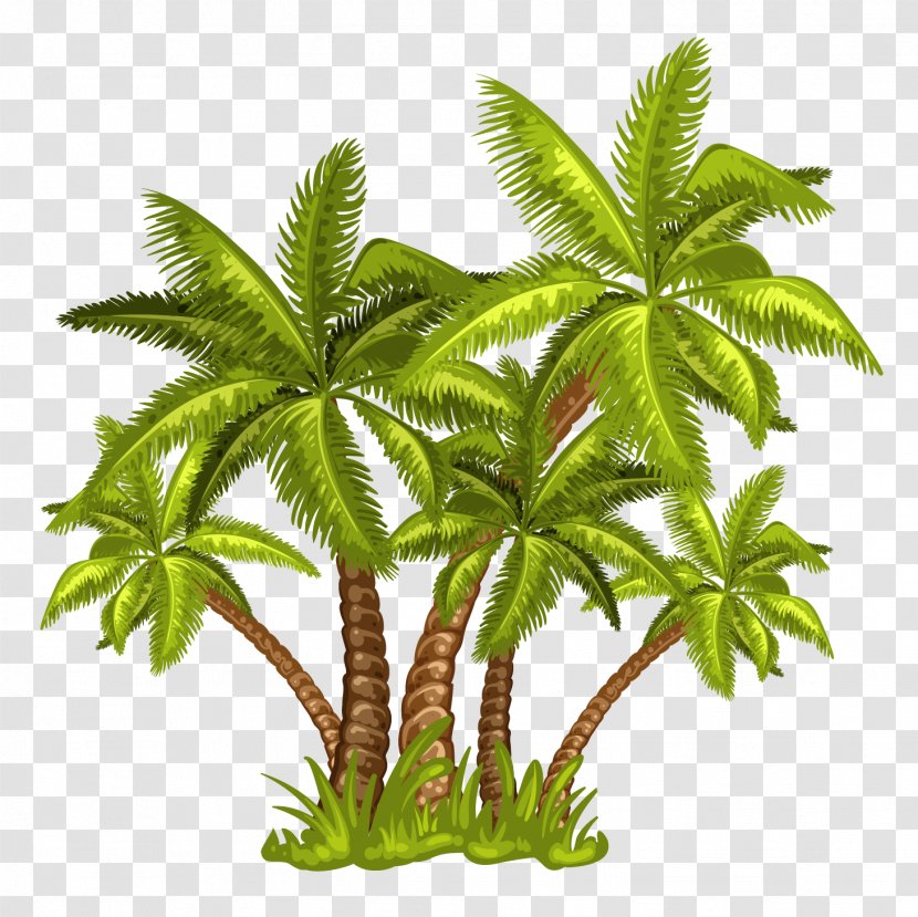 Arecaceae Royalty-free Illustration - Hemp - Great Cartoon Coconut Tree Decoration Transparent PNG