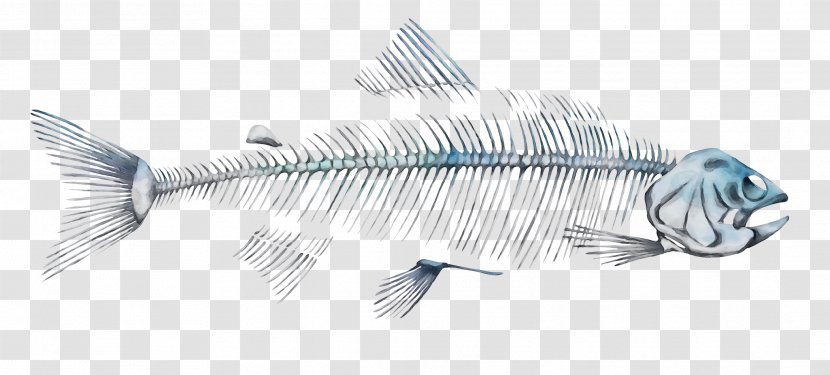 Fish Metal - Watercolor Transparent PNG