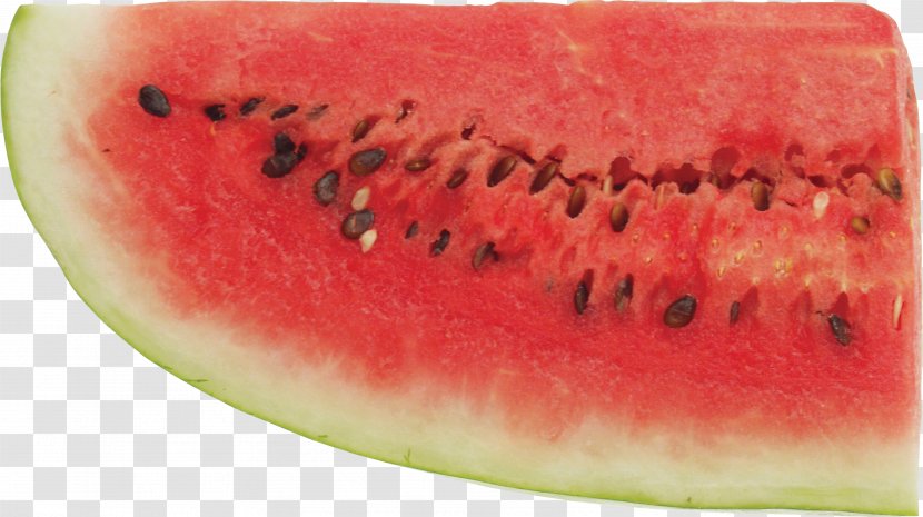 Watermelon Vegetable Fruit - Melon Transparent PNG