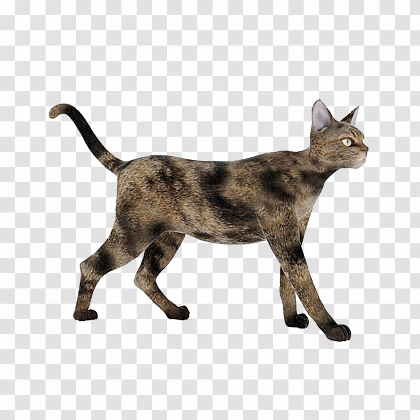 Cat 3D Modeling Computer Graphics Autodesk 3ds Max Texture Mapping - Wavefront Obj File - Brown Transparent PNG