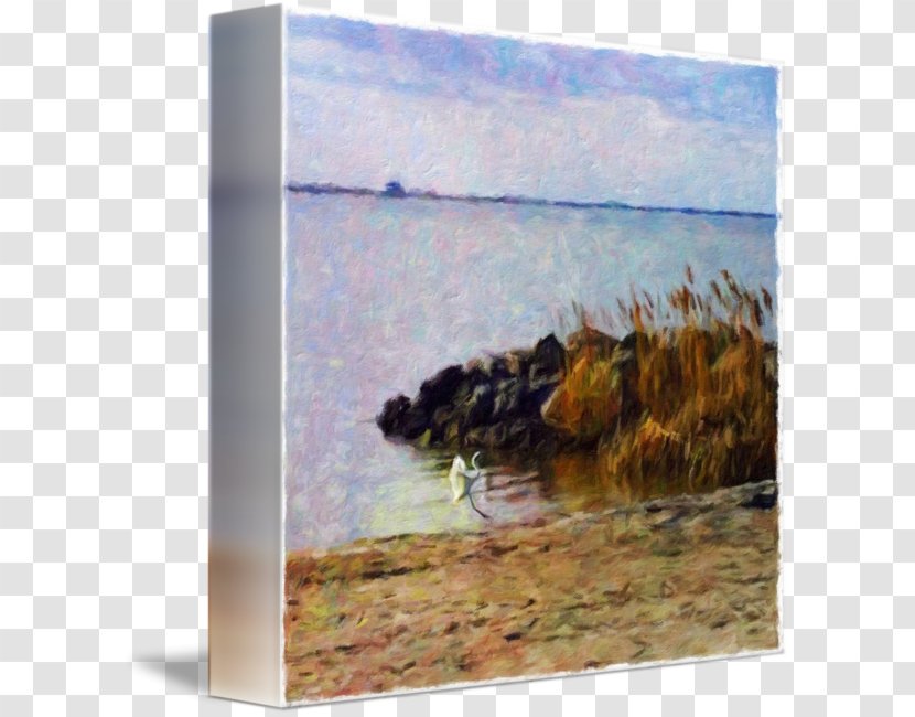 Watercolor Painting Landscape Picture Frames - Paint Transparent PNG
