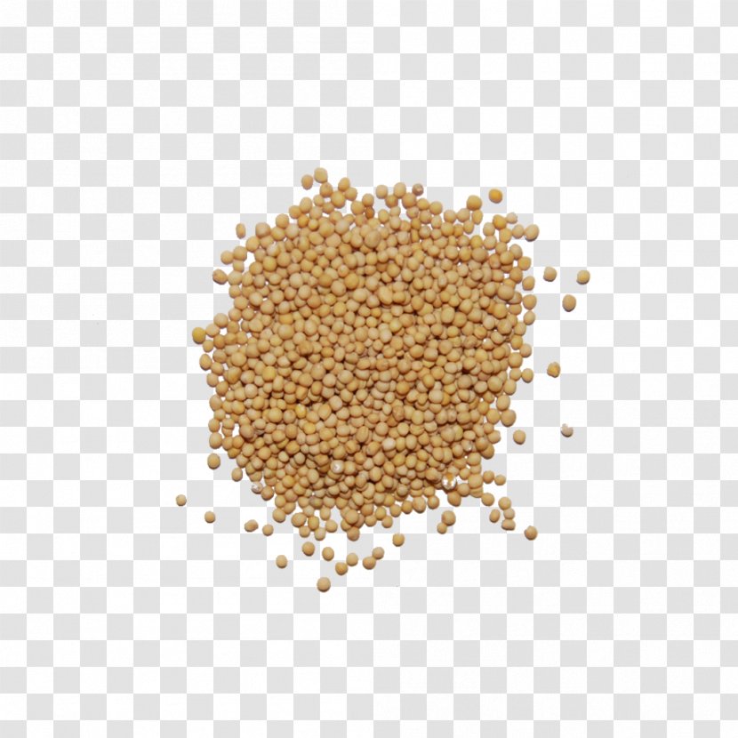 Mustard Seed Spice Seasoning Food - Seeds Transparent PNG