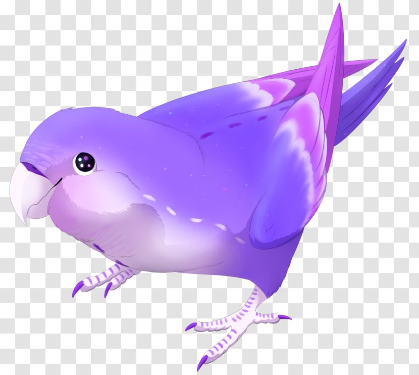 Dolphin Beak Feather .cf Fish - Violet Transparent PNG