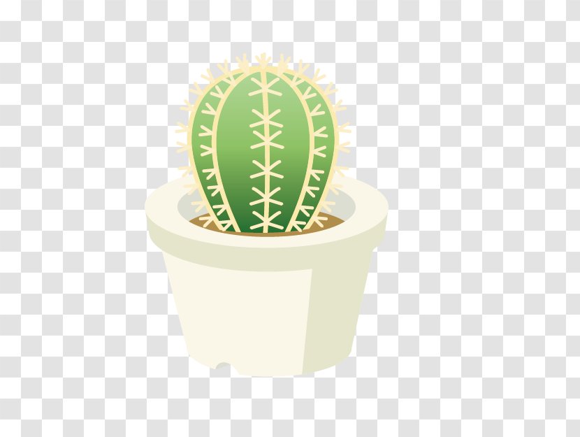 Cactaceae Flowerpot Drawing - Cactus - Potted Cartoon Transparent PNG
