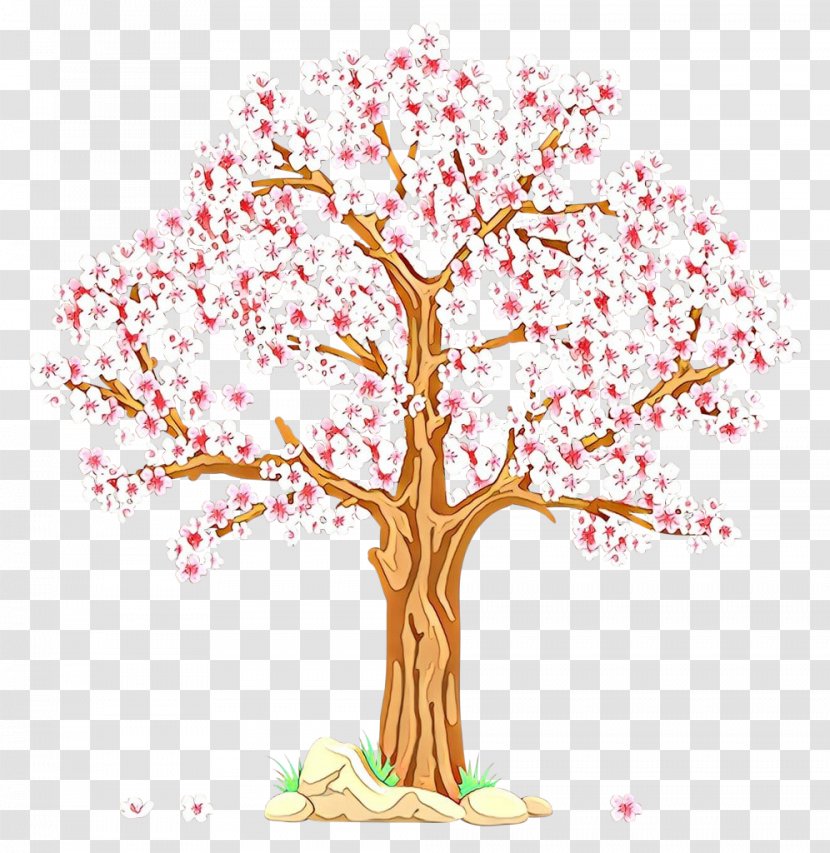 Cherry Blossom - Tree - Spring Transparent PNG