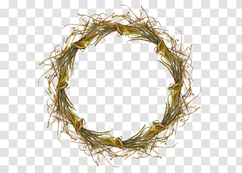 Picture Frames Image Borders And Photograph Graphics - Branch - Wreath Transparent PNG
