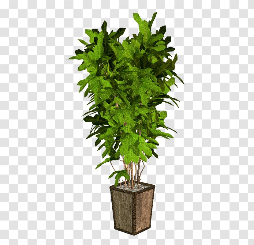 Plant Arecaceae Verdure Station - Digital Image Transparent PNG