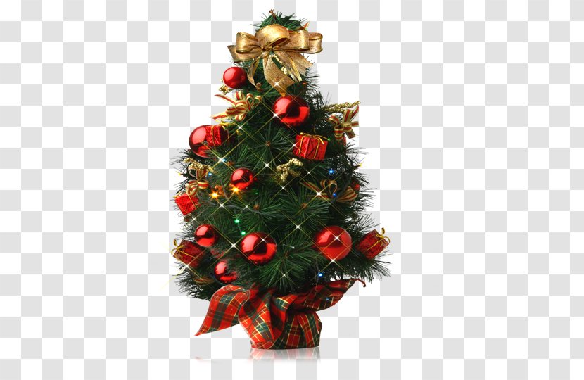 Tree - Fir - Christmas Transparent PNG