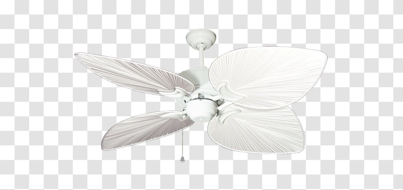 Ceiling Fans Blade Casa Vieja Rattan - Pollinator - Wind Blowing Transparent PNG