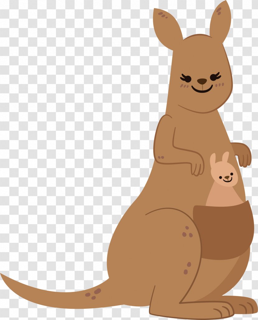 Kangaroo Macropodidae Mother - Carnivoran - Dear Transparent PNG