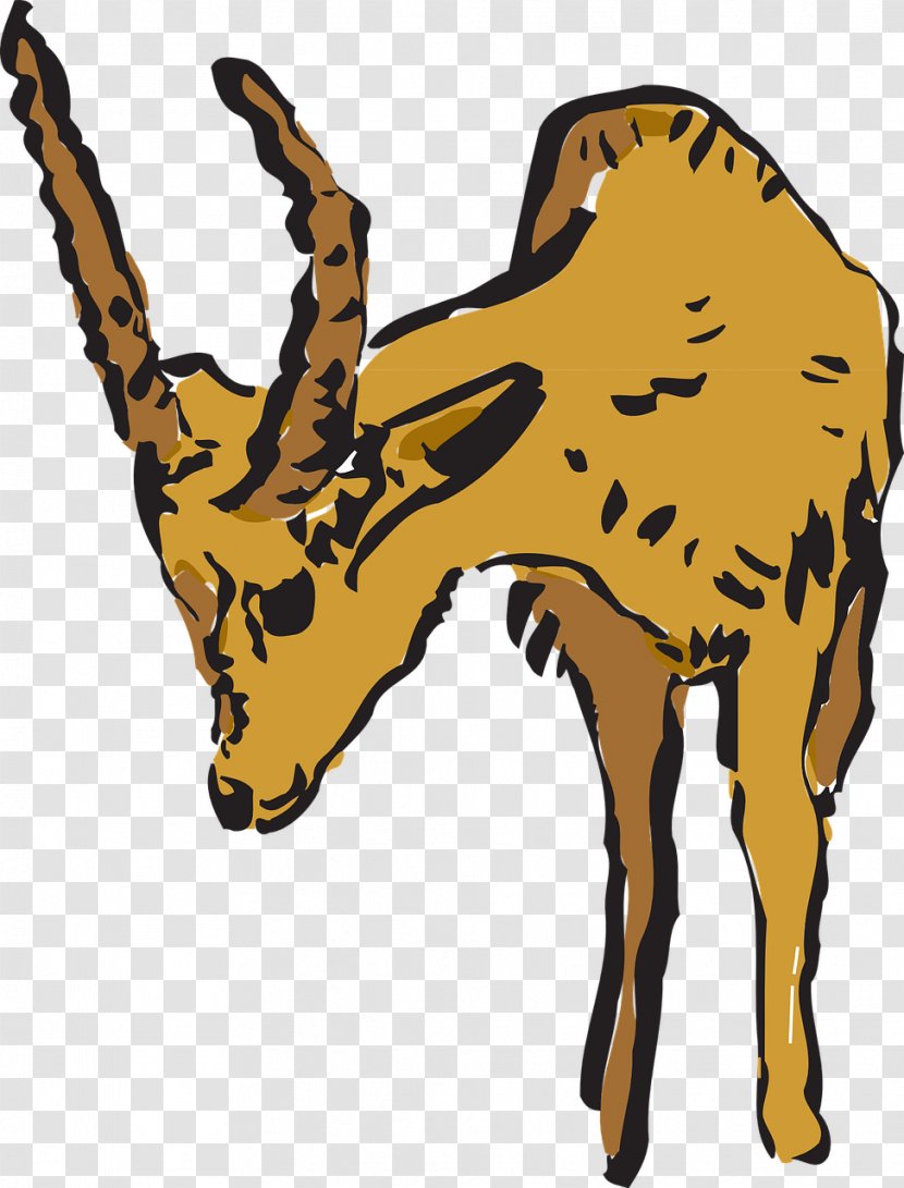 Giraffe Antelope Canyon Pronghorn Clip Art - Giraffidae Transparent PNG