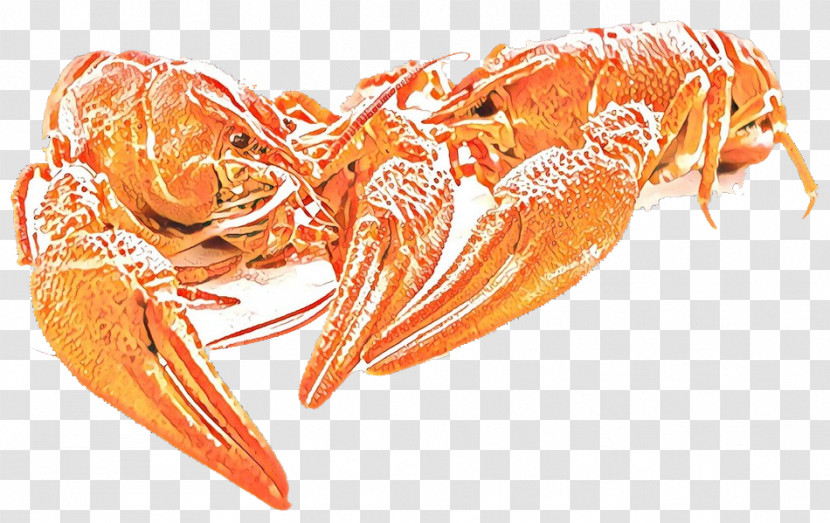 Litopenaeus Setiferus Shrimp Botan Shrimp Dendrobranchiata Lobster Transparent PNG