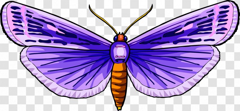 Butterfly Clip Art - Purple - Insect Transparent PNG