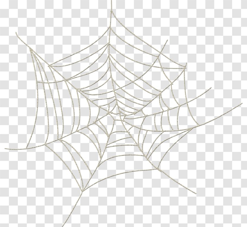 Spider Web Silk Clip Art - Frame Transparent PNG