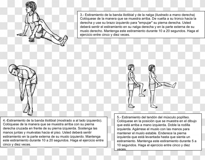 Homo Sapiens Human Behavior Line Art Sketch - Flower - Artrosis De Rodilla Transparent PNG