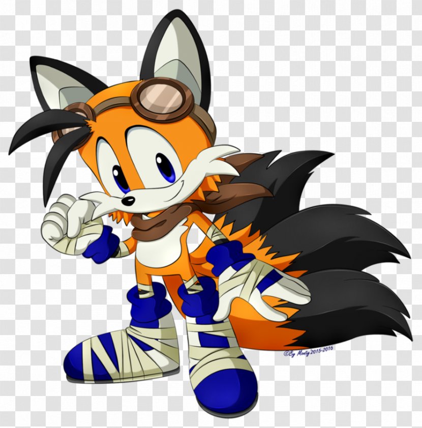 Sonic The Hedgehog Boom Tails Amy Rose - Shadow - Vector Transparent PNG