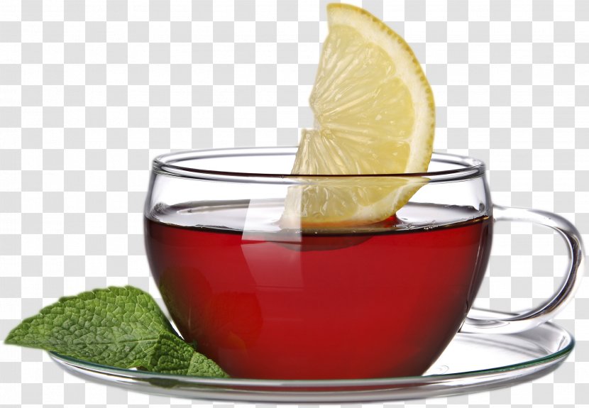 Tea Tieguanyin Drink Oolong Transparent PNG