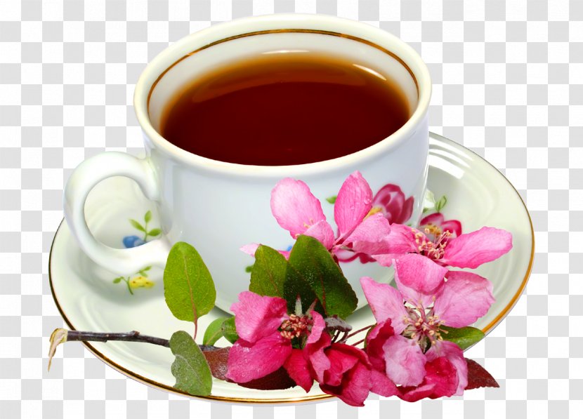 Earl Grey Tea Green Flowering Mate Cocido - Flower Transparent PNG