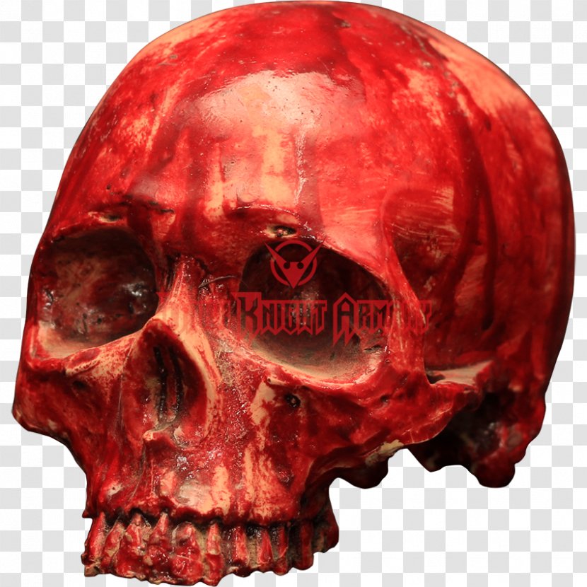 Skull Resin Bone Skeleton Blood - Red Transparent PNG