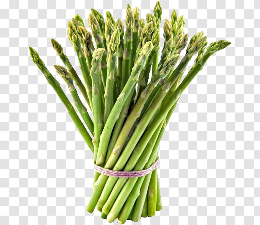 Asparagus Food Vegetable Noor Trade House Cooking - Leaf - Rhubarb Transparent PNG