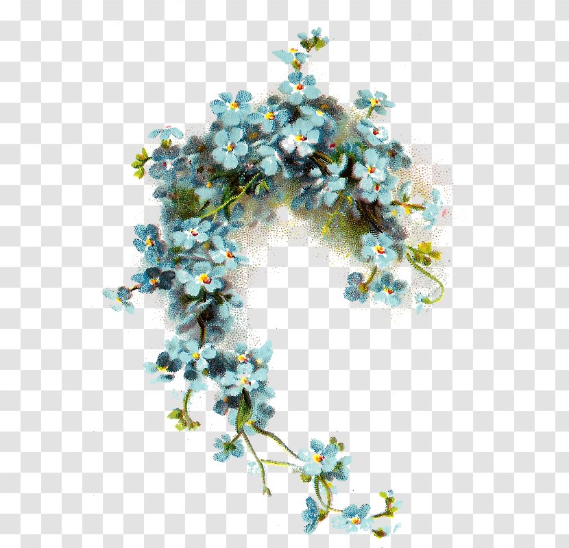 Myosotis Stricta Flower Clip Art - Branch Transparent PNG