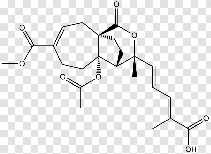 /m/02csf Angle Line Drawing Black & White - Point - M Transparent PNG