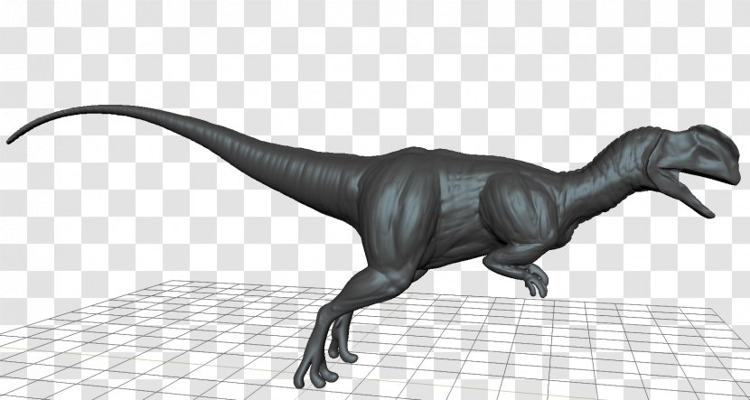 Velociraptor Tyrannosaurus Triceratops Dinosaur NUK - Animal Transparent PNG