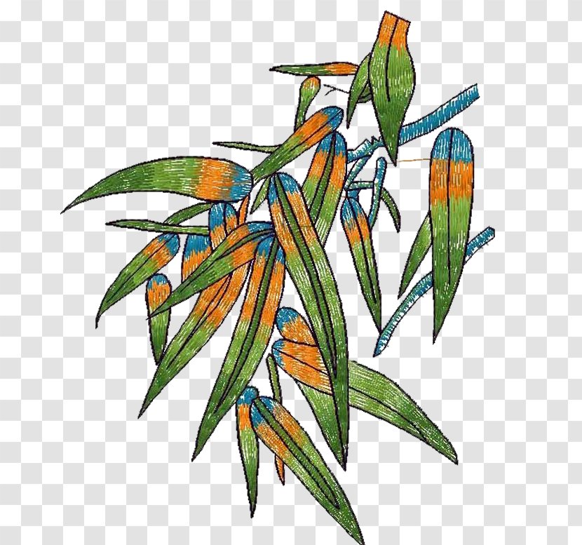 Bamboo Bambusa Multiplex Leaf Euclidean Vector - Organism - Hand-painted Leaves Transparent PNG