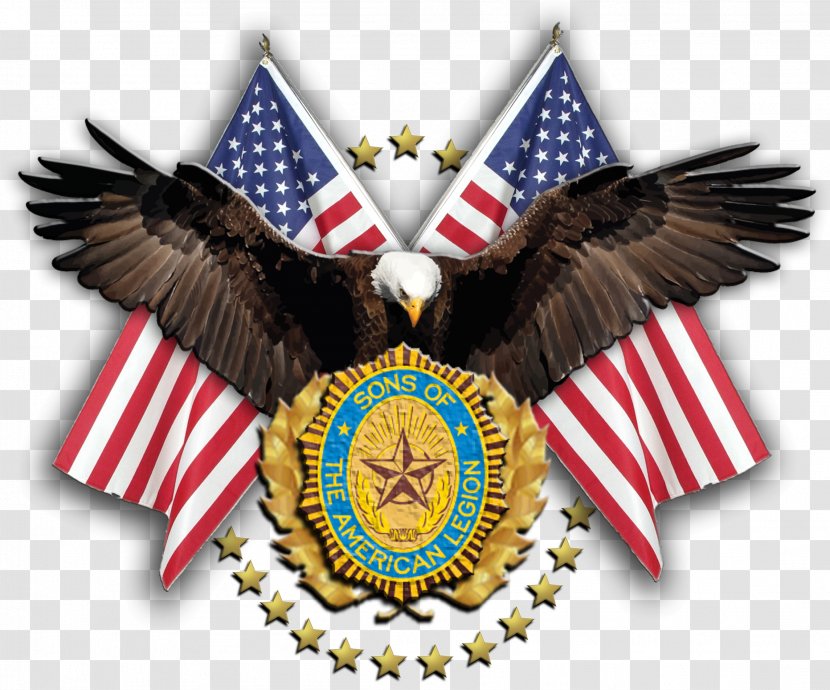 Veterans Day - Wing Transparent PNG
