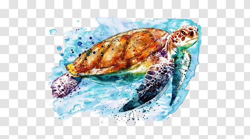 Loggerhead Sea Turtle Mixed Media Art Watercolor Painting - Poster - Cover Artwork Transparent PNG