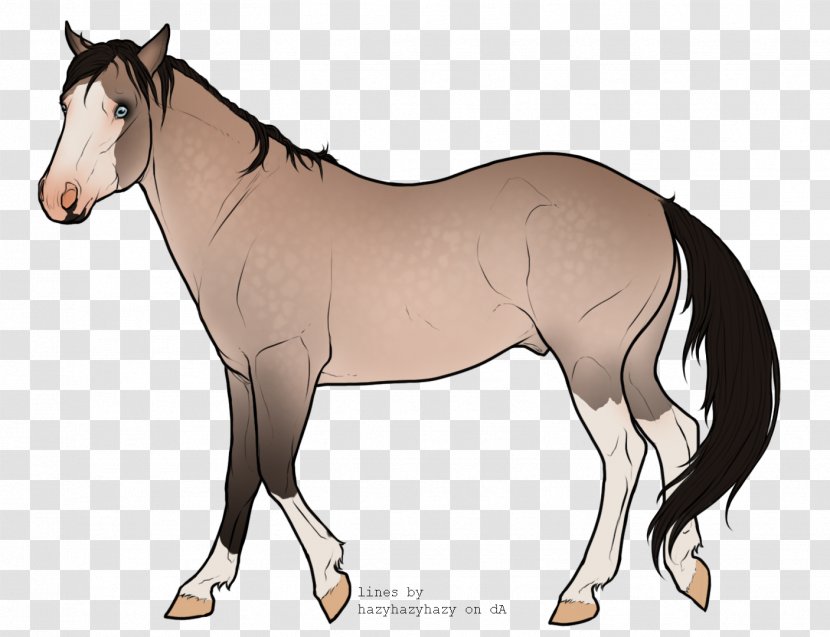 Foal Mare Pony Mustang Stallion Transparent PNG
