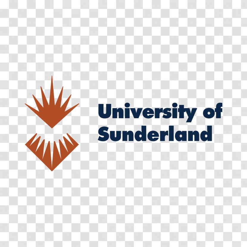 University Of Sunderland Newcastle Santa Clara School Law Bradford - Student Transparent PNG