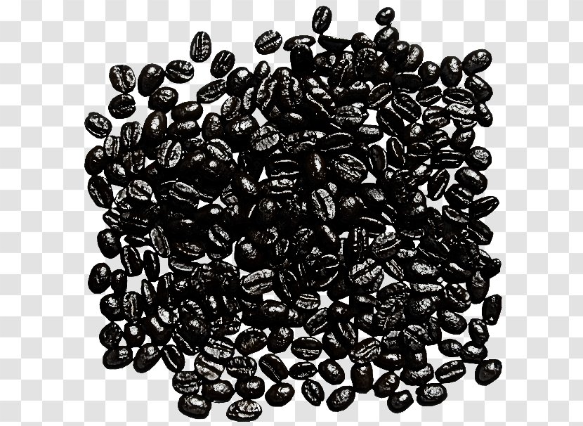 Food Superfood Bean Plant Seed - Black Gram Transparent PNG