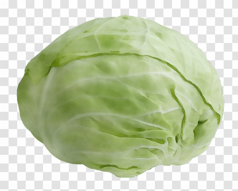 Salad Transparent PNG