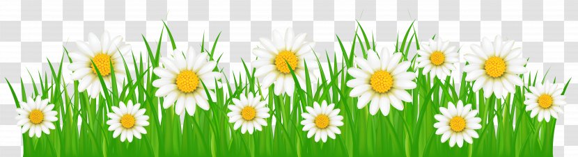 Flower Clip Art - Grass Cliparts Transparent PNG
