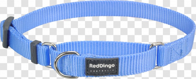 Dog Collar Dingo Martingale - Yellow Transparent PNG
