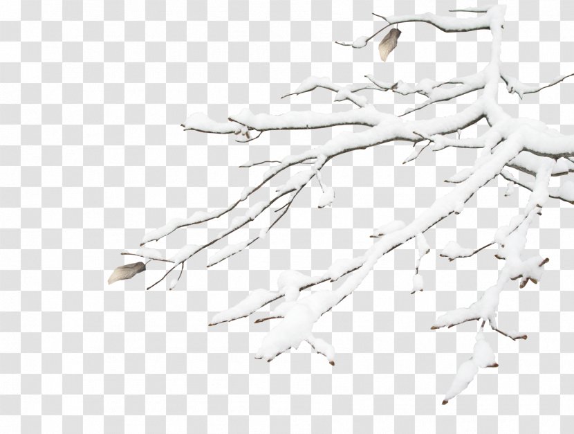 Snowflake Winter - Vecteur - Snow Tree Transparent PNG