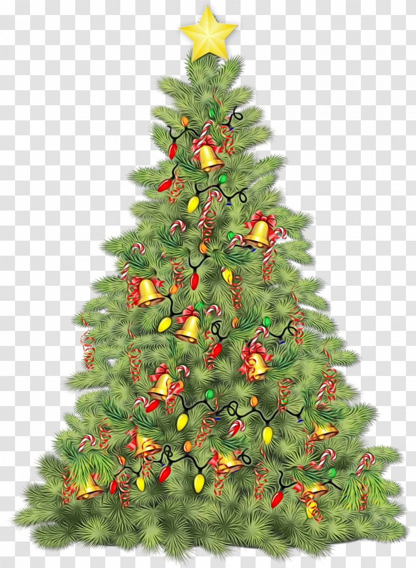 Christmas Decoration - Plant Ornament Transparent PNG