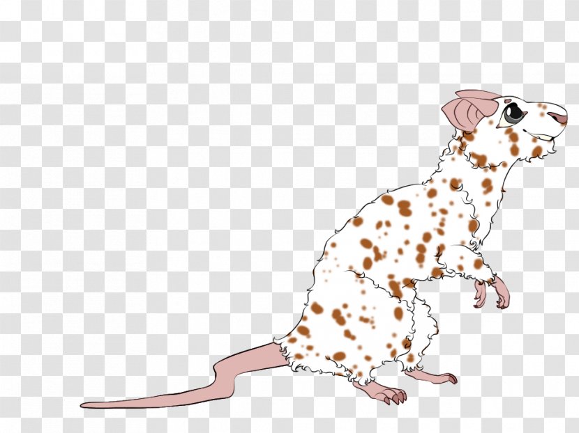 Dalmatian Dog Puppy Mammal Canidae Breed - Fauna - Rat & Mouse Transparent PNG