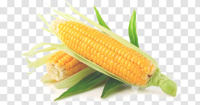 Maize Sweet Corn On The Cob - Ingredient - Kernel Transparent PNG