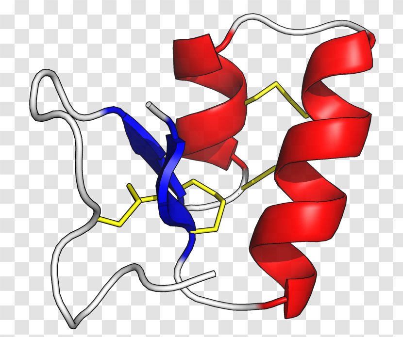Thionin Protein Amino Acid Plants Peptide - Heart Transparent PNG