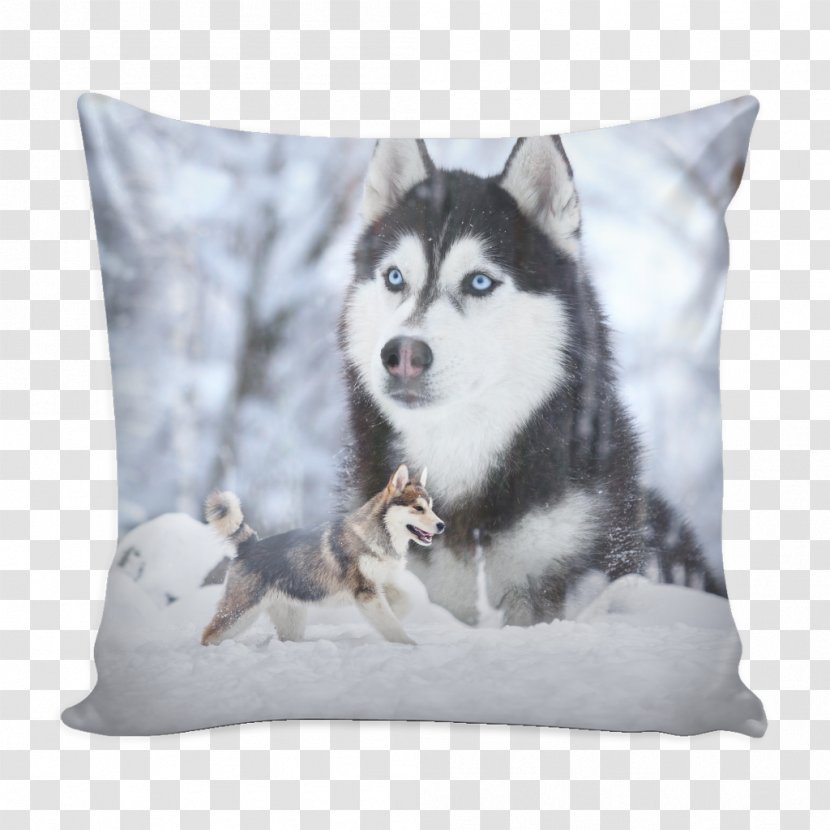 Siberian Husky Sakhalin Alaskan Malamute Puppy Klee Kai - Carnivoran Transparent PNG