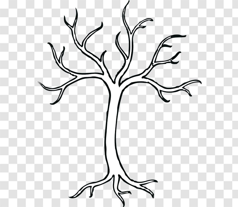 Tree Drawing Clip Art - Plant Stem Transparent PNG