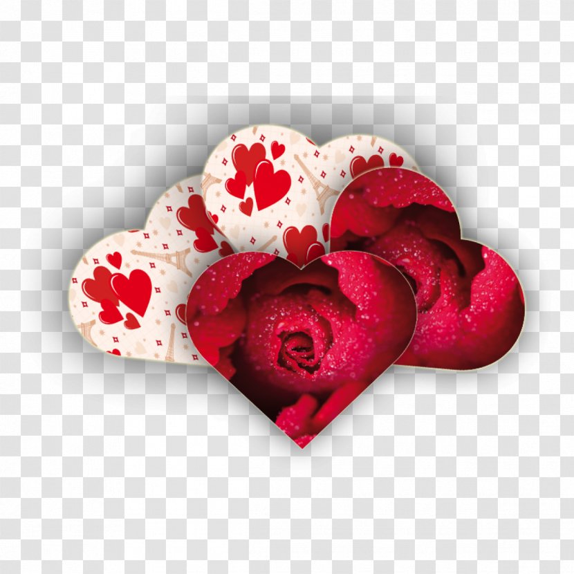 Garden Roses Valentine's Day Cut Flowers Petal - Redm Transparent PNG