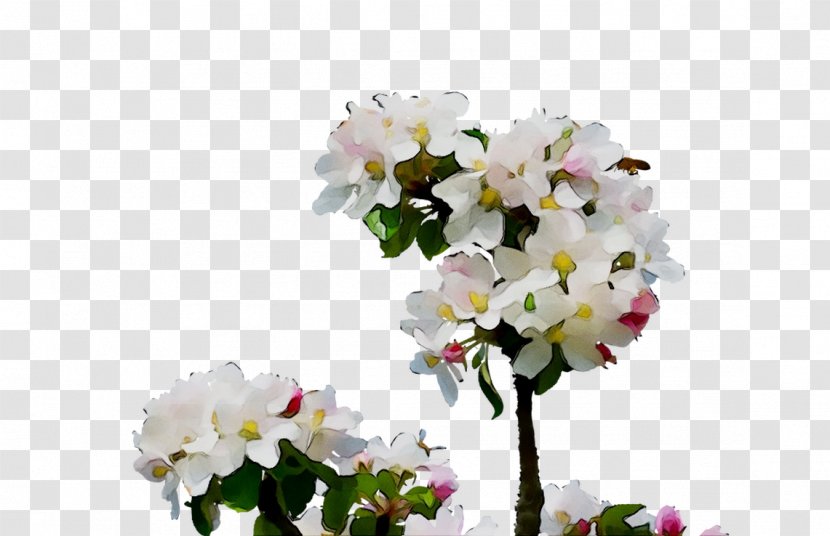 Floral Design Cut Flowers ST.AU.150 MIN.V.UNC.NR AD Flower Bouquet - Viburnum Transparent PNG