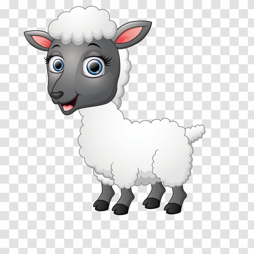 Funny Sheep Goat Illustration - Vertebrate - Vector Chart Transparent PNG