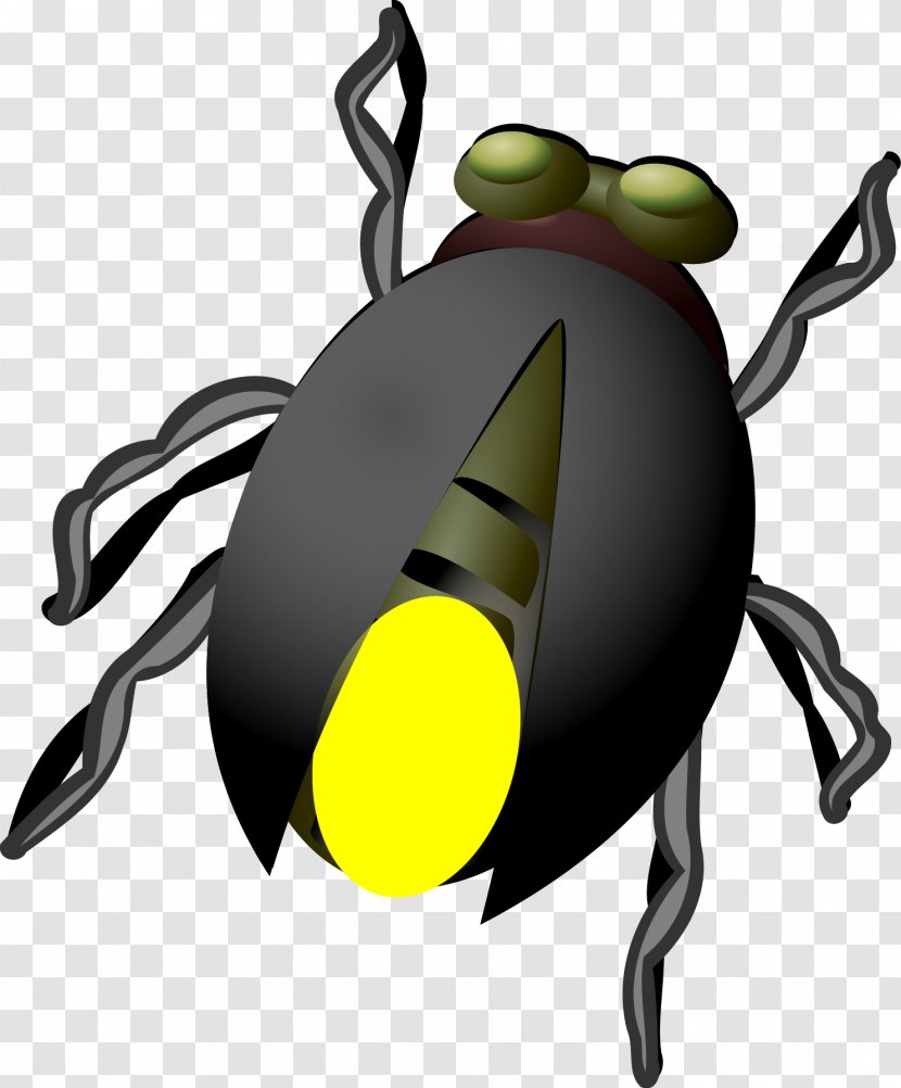Firefly Download Clip Art - Ladybird - Vector Transparent PNG