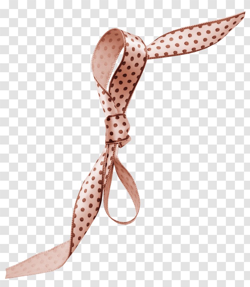 Shoelace Knot Bow Tie Google Images - Fashion Transparent PNG